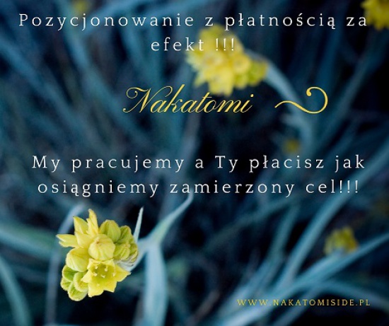 Pozycjonowanie z płatnością za efekt